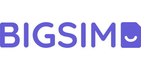 BIGSIM Logo