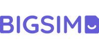 BIGSIM