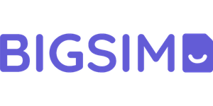 BIGSIM Logo